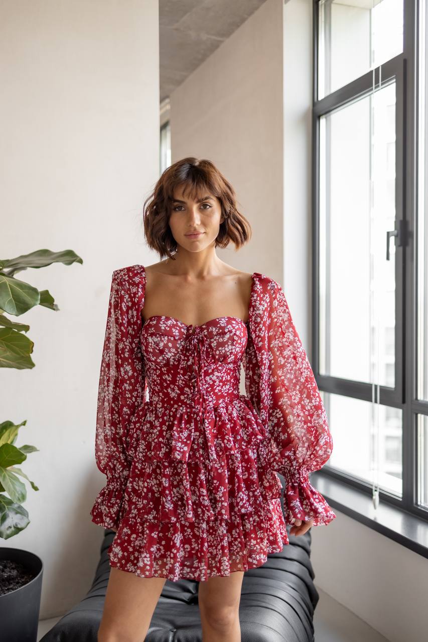 Burgundy Chiffon Mini Dress With Ruffles